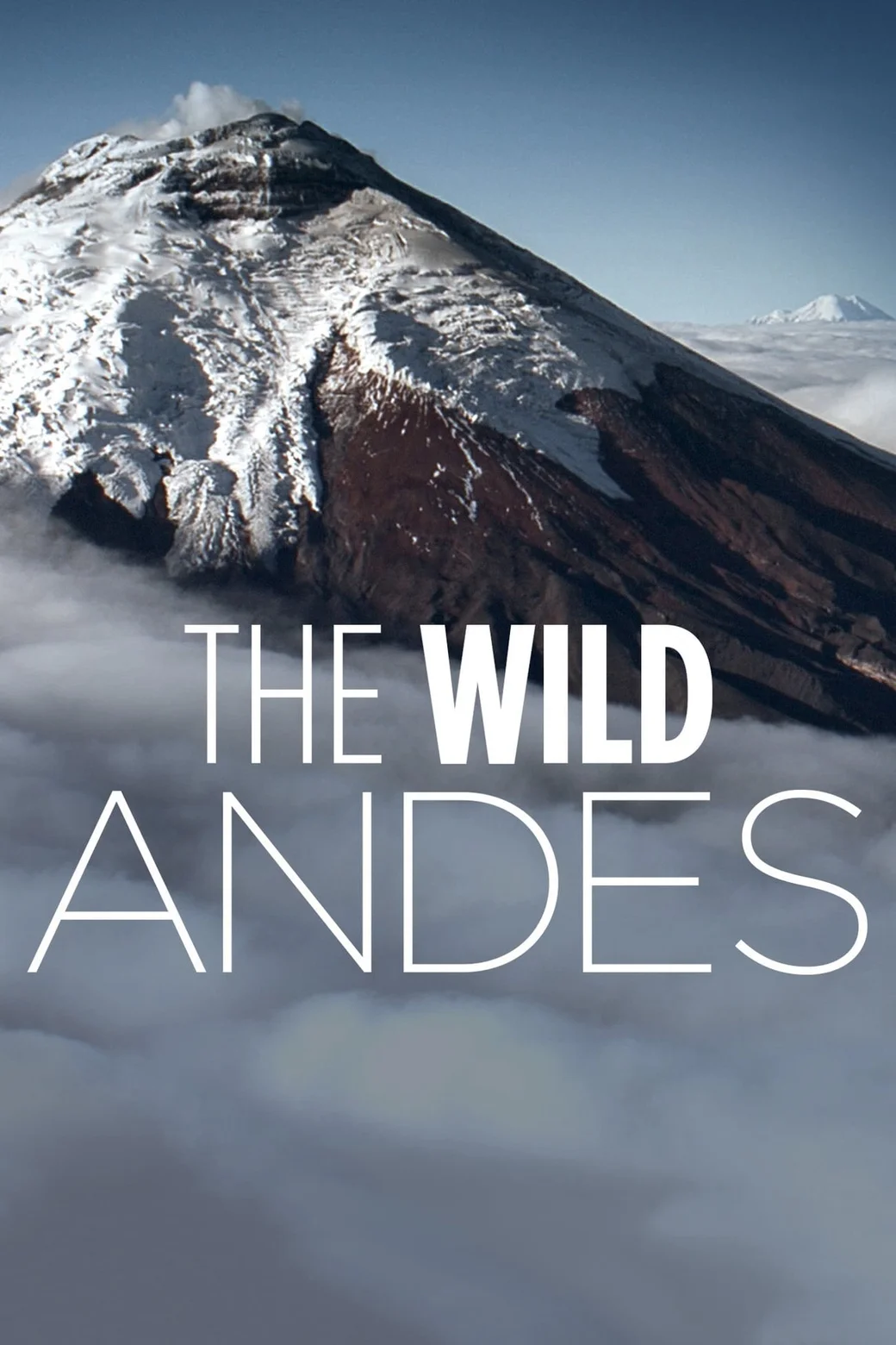 The Wild Andes 